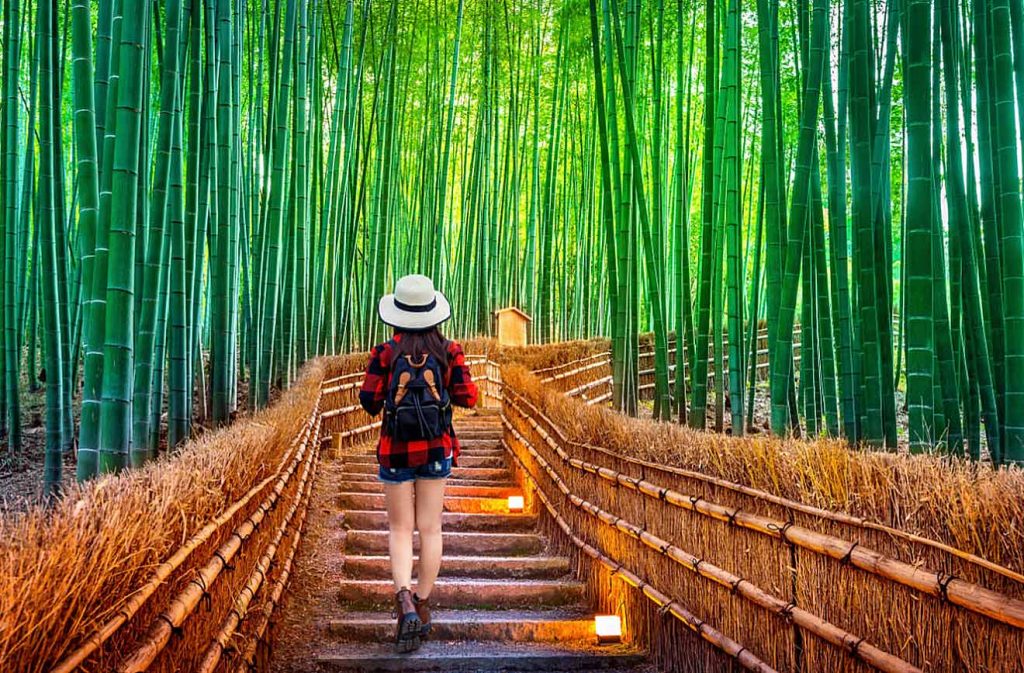 arashiyama bosque de bambú